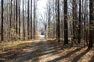 730 Sinai Cir, Hillsborough, NC 27278 - Photo 40