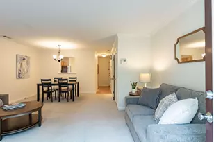 316 Standish Dr, Chapel Hill, NC 27517 - Photo 12