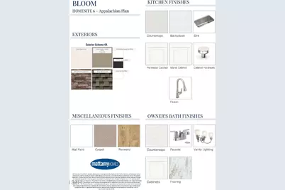 251 Scarlet Sage Drive, Fuquay Varina, NC 27526 - Photo 4