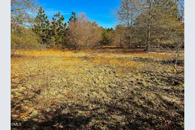 0000 Jesse Smith Road, Laurel Hill, NC 28351 - Photo 46