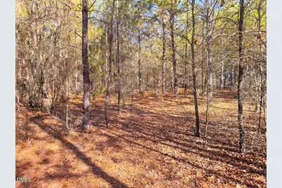 0000 Jesse Smith Road, Laurel Hill, NC 28351 - Photo 14