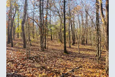 0000 Jesse Smith Road, Laurel Hill, NC 28351 - Photo 24
