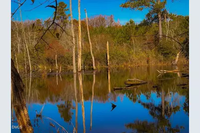 0000 Jesse Smith Road, Laurel Hill, NC 28351 - Photo 38