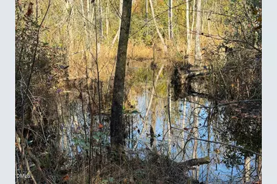 0000 Jesse Smith Road, Laurel Hill, NC 28351 - Photo 36