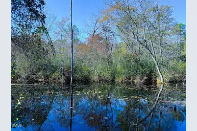 0000 Jesse Smith Road, Laurel Hill, NC 28351 - Photo 40