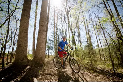 2529 Lillian Woods Way, Wendell, NC 27591 - Photo 2