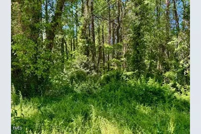 00 Young Avenue, Henderson, NC 27536 - Photo 1