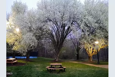 3 Steepleton Court, Hillsborough, NC 27278 - Photo 50