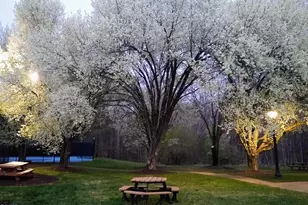 3 Steepleton Ct, Hillsborough, NC 27278 - Photo 50