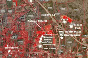 142 Autumn Gate St, Pittsboro, NC 27312 - Photo 74