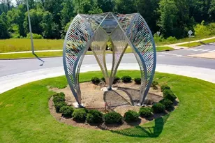 142 Autumn Gate St, Pittsboro, NC 27312 - Photo 68