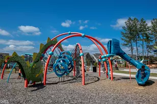 142 Autumn Gate St, Pittsboro, NC 27312 - Photo 66