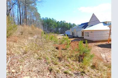 142 Autumn Gate Street, Pittsboro, NC 27312 - Photo 44