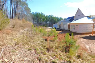 142 Autumn Gate St, Pittsboro, NC 27312 - Photo 44