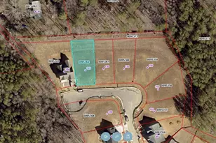 142 Autumn Gate St, Pittsboro, NC 27312 - Photo 46