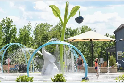 142 Autumn Gate Street, Pittsboro, NC 27312 - Photo 54