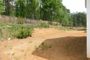 142 Autumn Gate St, Pittsboro, NC 27312 - Photo 70