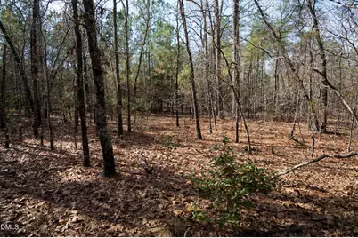 5131 Ponderosa Road, Sanford, NC 27332 - Photo 46