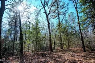 5131 Ponderosa Rd, Sanford, NC 27332 - Photo 48