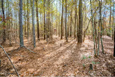5131 Ponderosa Road, Sanford, NC 27332 - Photo 34