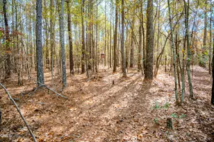 5131 Ponderosa Rd, Sanford, NC 27332 - Photo 34