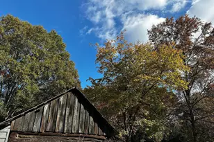 6202 Montgomery Ests Rd, Hillsborough, NC 27278 - Photo 90