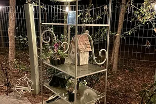 6202 Montgomery Ests Rd, Hillsborough, NC 27278 - Photo 30