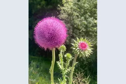 6202 Montgomery Estates Road, Hillsborough, NC 27278 - Photo 2