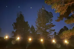 6202 Montgomery Ests Rd, Hillsborough, NC 27278 - Photo 78