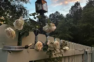 6202 Montgomery Ests Rd, Hillsborough, NC 27278 - Photo 4