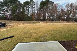 413 Belgian Red Wy, Wake Forest, NC 27587 - Photo 18