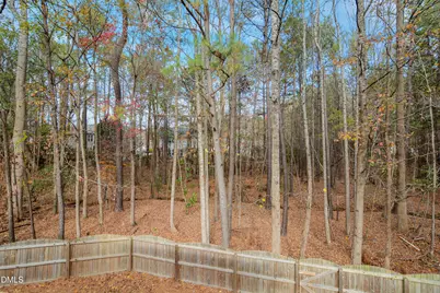 2138 Gillwell Lane, Fuquay Varina, NC 27526 - Photo 24