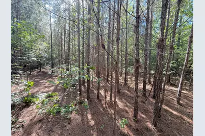 0 T Tarpey Lane, Sanford, NC 27330 - Photo 16