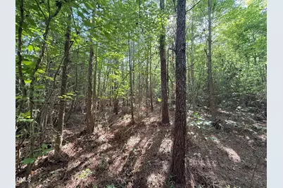 0 T Tarpey Lane, Sanford, NC 27330 - Photo 12