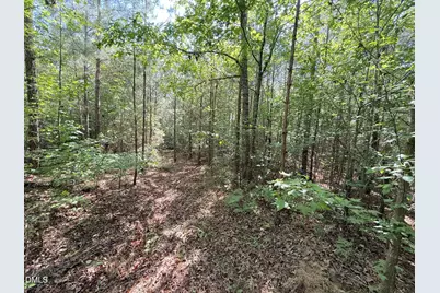 0 T Tarpey Lane, Sanford, NC 27330 - Photo 18