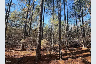 0 T Tarpey Lane, Sanford, NC 27330 - Photo 4