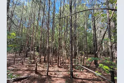 0 T Tarpey Lane, Sanford, NC 27330 - Photo 10