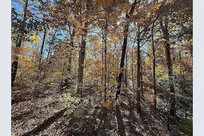 0 T Tarpey Lane, Sanford, NC 27330 - Photo 6