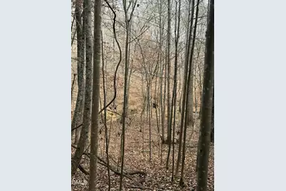 0 Tommie Daniel Road, Oxford, NC 27565 - Photo 50