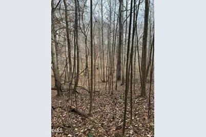 0 Tommie Daniel Road, Oxford, NC 27565 - Photo 46