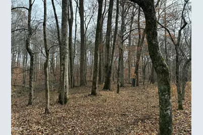 0 Tommie Daniel Road, Oxford, NC 27565 - Photo 64