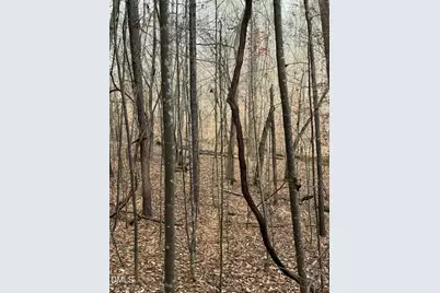 0 Tommie Daniel Road, Oxford, NC 27565 - Photo 48