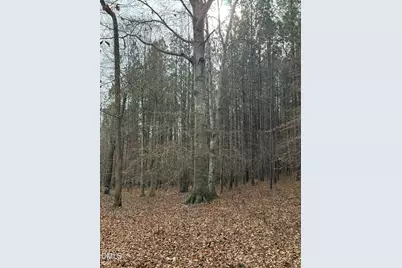 0 Tommie Daniel Road, Oxford, NC 27565 - Photo 60
