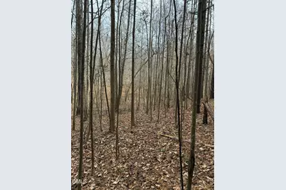 0 Tommie Daniel Road, Oxford, NC 27565 - Photo 54