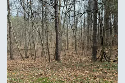 0 Tommie Daniel Road, Oxford, NC 27565 - Photo 36