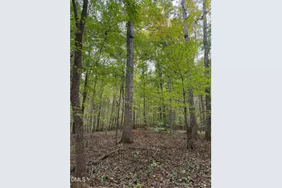 0 Tommie Daniel Road, Oxford, NC 27565 - Photo 30