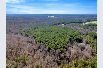 0 Tommie Daniel Road, Oxford, NC 27565 - Photo 12