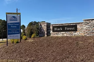 102 Bittersweet Trail, Benson, NC 27504 - Photo 28