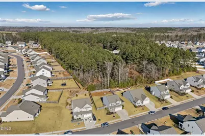 190 Kimberling Drive, Franklinton, NC 27525 - Photo 52