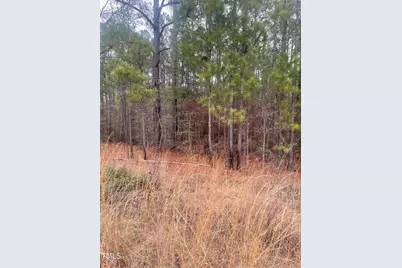 0 Bumpy Lane, Sanford, NC 27332 - Photo 4